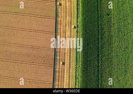 Landwirtschaftliches Feld gesehen von oben durch eine Drohne Stockfoto