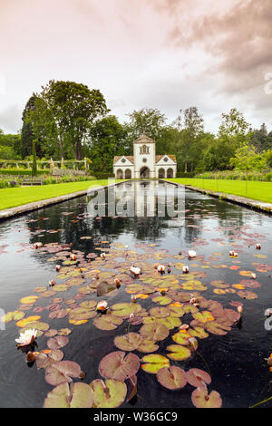 Der Teich vor der historischen Pin Mühle ist mit bunten Sorten von seerose an Bodnant Gardens, Conwy, Wales, Großbritannien Stockfoto