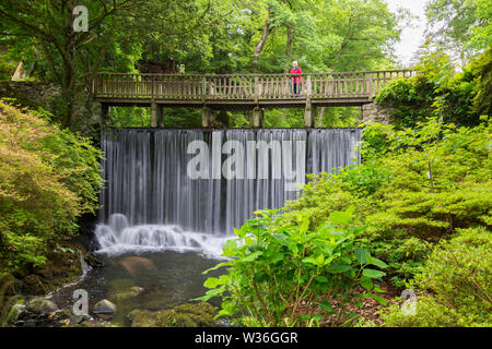 Der hölzerne Wasserfall Brücke im Dell an Bodnant Gardens, Conwy, Wales, Großbritannien Stockfoto