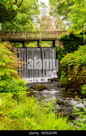 Der hölzerne Wasserfall Brücke im Dell an Bodnant Gardens, Conwy, Wales, Großbritannien Stockfoto