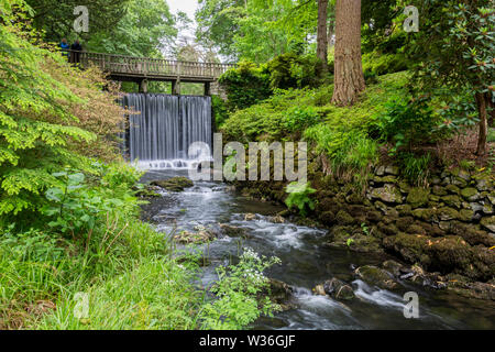 Der hölzerne Wasserfall Brücke im Dell an Bodnant Gardens, Conwy, Wales, Großbritannien Stockfoto