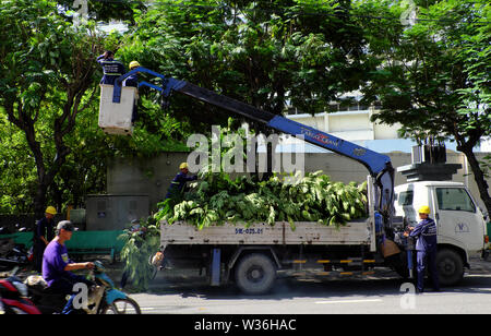 Ho Chi Minh City, Vietnam Arbeiter Arbeiten am Ausleger heben Niederlassung des Baums für die Sicherheit in der Regenzeit zu schneiden, Kran-LKW auf der Straße für die Gruppe von Personen, die Stockfoto