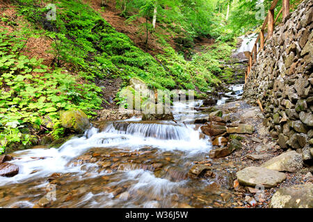 In der Kaskade Wasserfall in der Schlucht der Karpaten fließende klar und kalt Wasser durch die Steinige Stromschnellen auf dem Hintergrund der helle grüne Folia Stockfoto