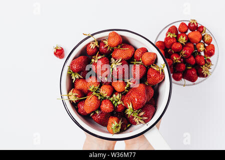 Woman's Hände halten Sieb mit frisch gepflückten Erdbeeren auf weißem Hintergrund neben Schüssel mit ausgesuchten Beeren, Ansicht von oben. Stockfoto