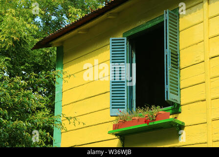 Blaue Fensterläden aus Holz am vivid yellow House unter grüne Blätter im Sonnenlicht Stockfoto