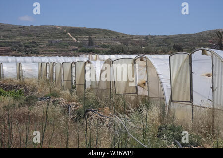 Array aus Kunststoff tunnel Gewächshäuser mit Bereich der junge Gemüse in Front gegen den blauen Himmel. Stockfoto