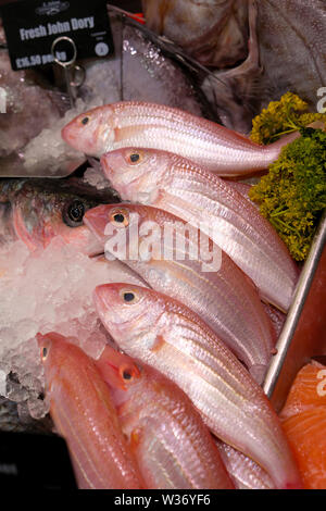 Vertikale Ansicht von frischen Thread fin Brassen in Cardiff Central Market Ashton Fischhändler Verkauf von frischem Fisch in Cardiff City Centre Wales UK. KATHY DEWITT Stockfoto