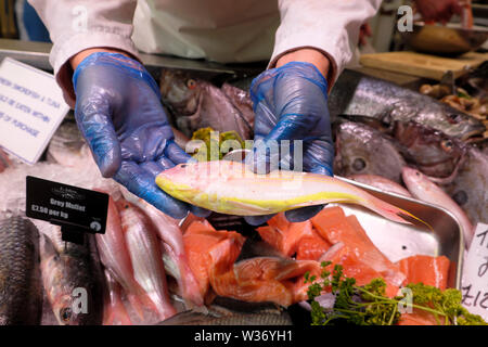 Verkäufer halten frisch gefangenen Thread fin Brassen Cardiff Central Market EAshton Fischhändler Verkauf von frischem Fisch iCardiff City Centre Wales UK KATHY DEWITT Stockfoto