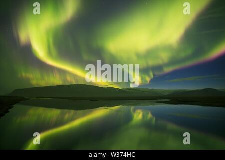 Nordlichter in den Lofoten Inseln, Norwegen. Grüne Aurora borealis. Sternenhimmel mit Polarlichtern. Nacht Winterlandschaft mit aurora, Meer mit Himmel Stockfoto