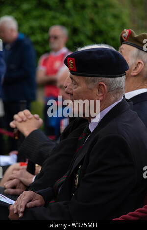 D-Day 75 Jahre Gedenkfeiern in Liverpool War Memorial, die von lokalen regimental Veteranen, hochrangige Arm, Navy und R.A.F Veteranen besucht Stockfoto