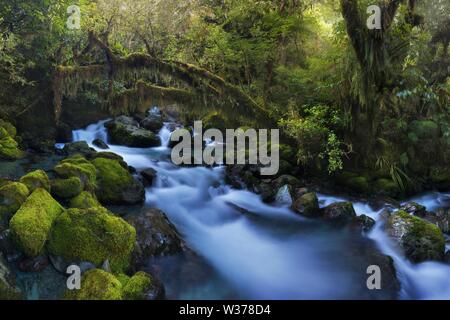 Herbstwaldlandschaft Mit Schönen Fallenden Kaskaden Von Creek Und Farbigen Blättern Auf Den Steinen. Kalter Bergstrom Unter Den Steinen Stockfoto