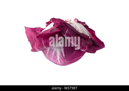 Ganze rote Radicchio auf weißem Hintergrund Stockfoto