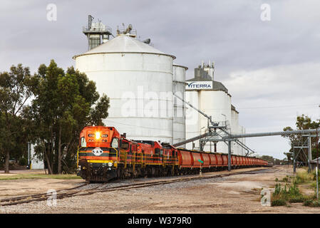 Diesel-elektrische Lokomotiven Korn zug Sammeln von Weizen Gerste oder Transport zu Port Lincoln von Lock Eyre Peninsula South Australia Stockfoto