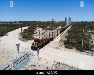 Diesel-elektrische Korn Zug am Bahnübergang Eyre Peninsula South Australia Stockfoto