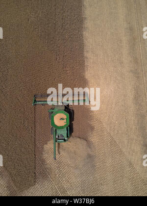 Antenne nadir Blick auf Mähdrescher Ernten von Weizen in großen paddock Eyre Peninsula South Australia Stockfoto