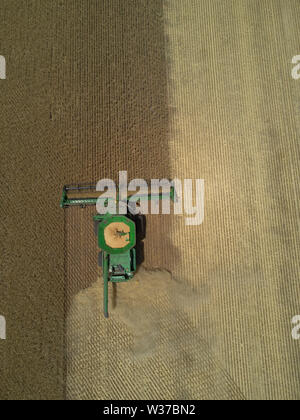 Antenne nadir Blick auf Mähdrescher Ernten von Weizen in großen paddock Eyre Peninsula South Australia Stockfoto