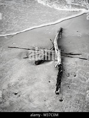 Gulf Shores, AL USA - 05/08/2019 - Driftwood am Sandstrand in B&W Stockfoto