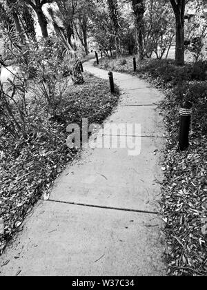 Gulf Shores, AL USA - 05/11/2019 - Pathway in Gulf Shores AL2 in B&W Stockfoto