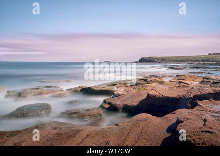 Die Felsen an der Küste bei Collywell Bay und St. Mary's Island von Seaton Sluice auf der Northumberland Küste Stockfoto