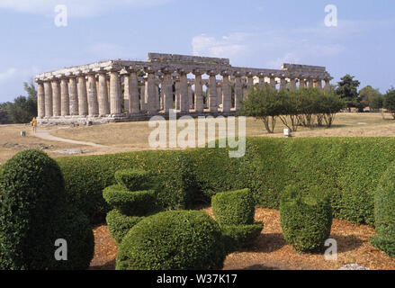 Griechische Tempel. Paestum, Salerno Provinz, Kampanien, Italien Stockfoto