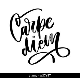 Carpe Diem. Schöne Nachricht. Es kann für Web site Design, t-shirt, Phone Case, Poster, Becher etc. Stock Vektor