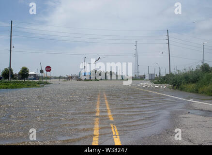 Der Mississippi River zusammen mit den vielen Nebenflüssen und Seen in New Orleans bereits geflutet während der Vorbereitung. New Orleans und anderen Teilen der Golf von Mexiko der Tropische Sturm Barry landfall machen vorbereiten, mit einem katastrophalen Niederschlag. Mit Wasser des Mississippi River hoch und ein Sturm im Golf von Mexiko bilden, die erwartet wird, Landfall auf der Louisiana und Texas Küsten zu machen, befürchten viele, dass Deiche versagen, und dass New Orleans erneut überflutet, so schlecht wie es war in der Zeit nach 2004 von Hurrikan Kartina werden. Stockfoto