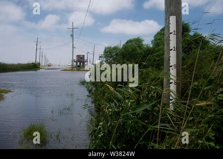 Der Mississippi River zusammen mit den vielen Nebenflüssen und Seen in New Orleans bereits geflutet während der Vorbereitung. New Orleans und anderen Teilen der Golf von Mexiko der Tropische Sturm Barry landfall machen vorbereiten, mit einem katastrophalen Niederschlag. Mit Wasser des Mississippi River hoch und ein Sturm im Golf von Mexiko bilden, die erwartet wird, Landfall auf der Louisiana und Texas Küsten zu machen, befürchten viele, dass Deiche versagen, und dass New Orleans erneut überflutet, so schlecht wie es war in der Zeit nach 2004 von Hurrikan Kartina werden. Stockfoto