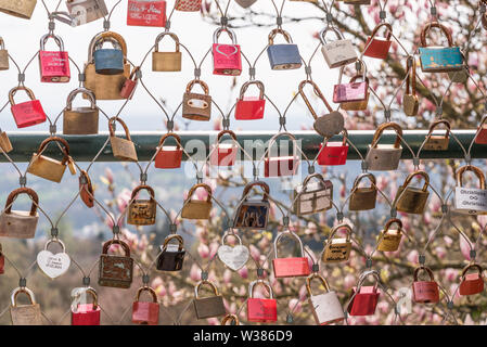 Viele Schlösser der Liebe mit einem rosa Liriodendron (Baum Tulip) im Hintergrund in Linz, Österreich Stockfoto