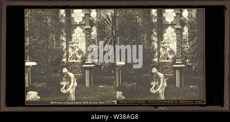 Im Wintergarten, Fifth Avenue in New York, Gebrüder Bierstadt anzeigen Stockfoto