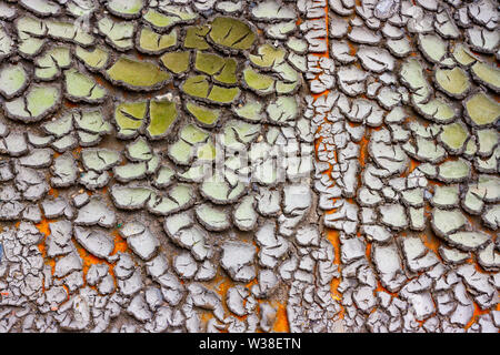 Getrocknete Schlamm auf eine orange Metall Hintergrund Stockfoto