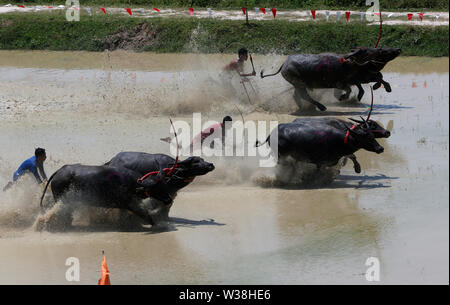 Jockeys konkurrieren in Chonburi der jährliche Buffalo race Festival in der Provinz Chonburi, östlich von Bangkok. Stockfoto