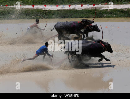 Jockeys konkurrieren in Chonburi der jährliche Buffalo race Festival in der Provinz Chonburi, östlich von Bangkok. Stockfoto