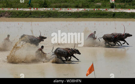 Jockeys konkurrieren in Chonburi der jährliche Buffalo race Festival in der Provinz Chonburi, östlich von Bangkok. Stockfoto