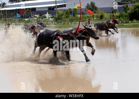 Jockeys konkurrieren in Chonburi der jährliche Buffalo race Festival in der Provinz Chonburi, östlich von Bangkok. Stockfoto