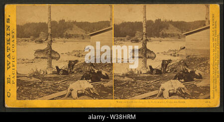 Blick auf den Columbia River von ORR, Cascades, durch Watkins, Carleton E, 1829-1916 Stockfoto