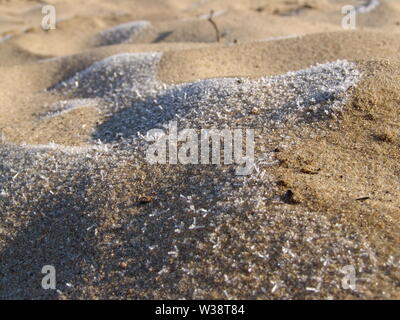 Sand im Raureif am Ufer. Schnee auf den Sanddünen in den frühen Morgenstunden Stockfoto