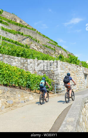 Radfahren Paar auf dem Weg entlang der grünen Weinberge in Schweizer Weinregion Lavaux. Den wunderschönen Weinberg ist am Hang vom Genfer See, Lac Leman befindet. Erstaunlich Schweiz, Natur, Sport. Stockfoto