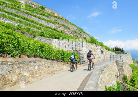 Paar Radfahrer auf dem Weg entlang der wunderschönen terrassierten Weinberge an den Hängen neben dem Genfer See, Schweiz. Berühmten See, in Französisch Lac Leman, ist ein beliebtes Touristenziel. Tourismus, Lavaux. Stockfoto