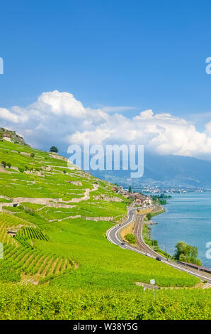 Schön terrassierten Weinberge an den Hängen des Schweizer Genfer See, Französisch Lac Leman. Beliebtes Ausflugsziel in der Schweiz. Die zum UNESCO-Weltkulturerbe zählt. Atemberaubende Natur, Landschaften. Europa reisen. Stockfoto