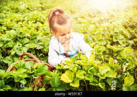 Süße Mädchen Kommissionierung Erdbeeren im Garten Stockfoto