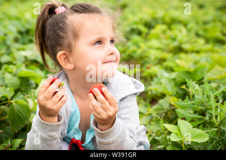 Süße Mädchen Kommissionierung Erdbeeren im Garten Stockfoto