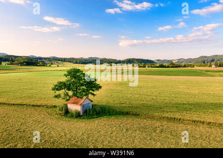 Luftbild der alten Scheune mit beschädigten, eingestürzten Dach unter einen großen Baum in Landschaft, steigende Crane shot, Europäischen Ackerland und die Landschaft Stockfoto