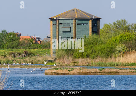 Pfauenturm Vogel verstecken sich im WWT London Wetland Centre in der Barnes, London, England, Vereinigtes Königreich, Großbritannien Stockfoto