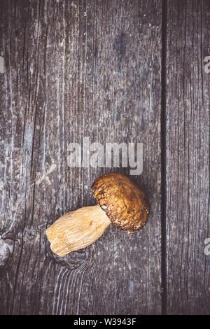 Köstliche Arten von essbaren braune Pilze auf Holzbrett Hintergrund. Natur und gesunde Ernährung Konzept. Stockfoto