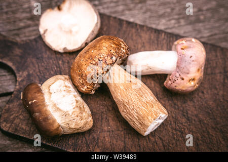 Köstliche Arten von essbaren braune Pilze auf Holzbrett Hintergrund. Natur und gesunde Ernährung Konzept. Stockfoto