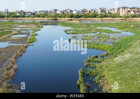 WWT London Wetland Centre in The Barnes, London, England, Großbritannien Stockfoto