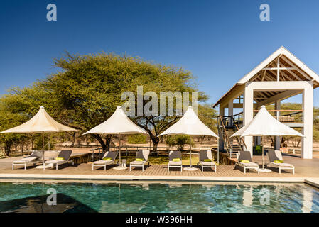 Liegen und Sonnenschirme neben einem Schwimmbad, in einem Hotel in Etosha National Park, Namibia Stockfoto