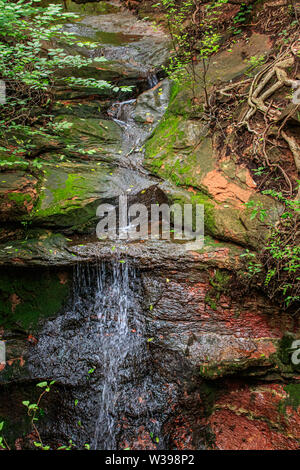 Ein kleiner Wasserfall auf einem Creek tief im Wald in Edmond, OK, USA Stockfoto