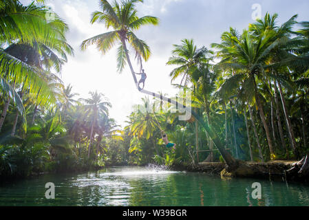Berühmte instagrammed schiefen Palm Tree Maasin Fluss in Siargao, Philippinen - Menschen Spaß schwingen auf eine Kokospalme in den Dschungel Stockfoto