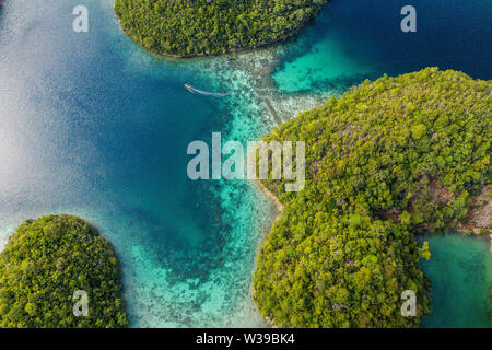Luftaufnahme von Sugba Lagune. Schöne Landschaft mit Blue sea Lagune, Nationalpark, Siargao Island, Philippinen Stockfoto